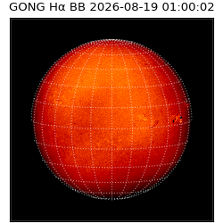 gong - 2026-08-19T01:00:02
