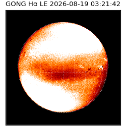 gong - 2026-08-19T03:21:42