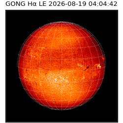 gong - 2026-08-19T04:04:42