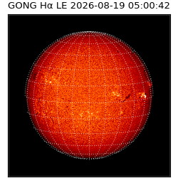 gong - 2026-08-19T05:00:42
