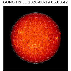 gong - 2026-08-19T06:00:42