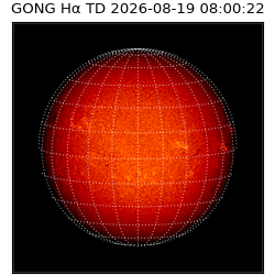 gong - 2026-08-19T08:00:22