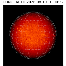 gong - 2026-08-19T10:00:22