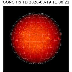 gong - 2026-08-19T11:00:22