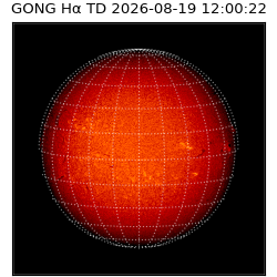 gong - 2026-08-19T12:00:22