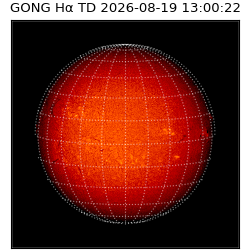 gong - 2026-08-19T13:00:22