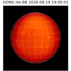 gong - 2026-08-19T19:00:02