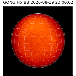 gong - 2026-08-19T23:00:02
