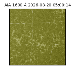 saia - 2026-08-20T05:00:14.124000