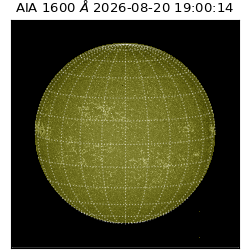 saia - 2026-08-20T19:00:14.123000