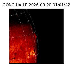 gong - 2026-08-20T01:01:42