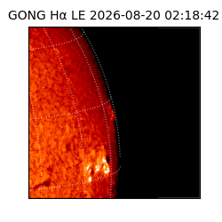 gong - 2026-08-20T02:18:42