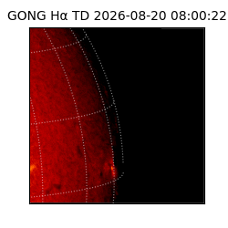 gong - 2026-08-20T08:00:22