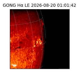 gong - 2026-08-20T01:01:42