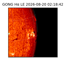 gong - 2026-08-20T02:18:42