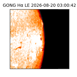 gong - 2026-08-20T03:00:42