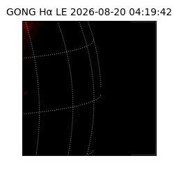 gong - 2026-08-20T04:19:42