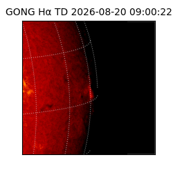 gong - 2026-08-20T09:00:22
