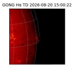gong - 2026-08-20T15:00:22