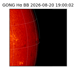 gong - 2026-08-20T19:00:02