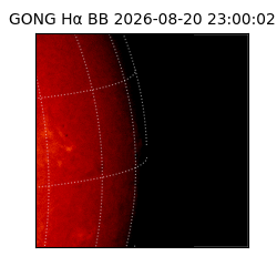gong - 2026-08-20T23:00:02