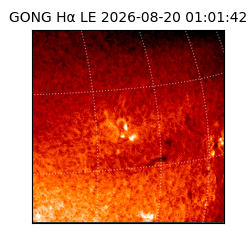 gong - 2026-08-20T01:01:42