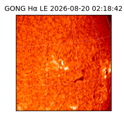 gong - 2026-08-20T02:18:42