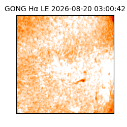 gong - 2026-08-20T03:00:42