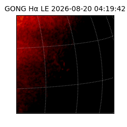 gong - 2026-08-20T04:19:42