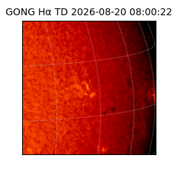gong - 2026-08-20T08:00:22