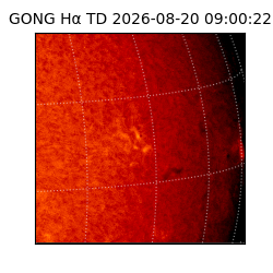 gong - 2026-08-20T09:00:22