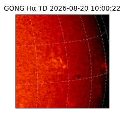 gong - 2026-08-20T10:00:22