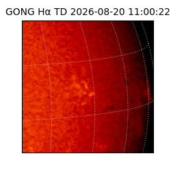 gong - 2026-08-20T11:00:22
