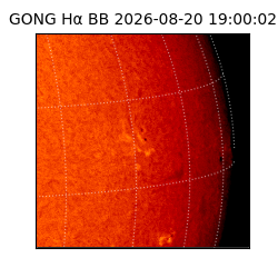 gong - 2026-08-20T19:00:02