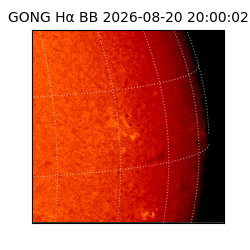 gong - 2026-08-20T20:00:02