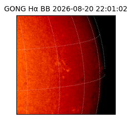 gong - 2026-08-20T22:01:02