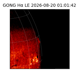 gong - 2026-08-20T01:01:42