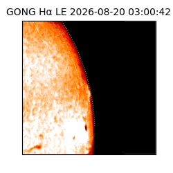 gong - 2026-08-20T03:00:42