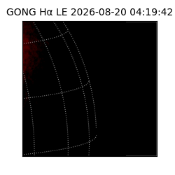 gong - 2026-08-20T04:19:42