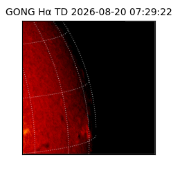gong - 2026-08-20T07:29:22