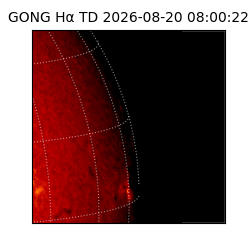 gong - 2026-08-20T08:00:22
