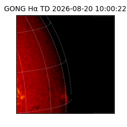 gong - 2026-08-20T10:00:22