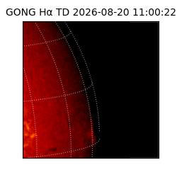 gong - 2026-08-20T11:00:22
