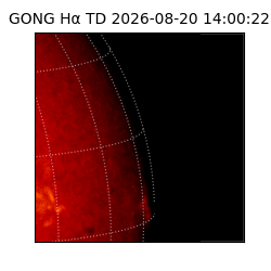 gong - 2026-08-20T14:00:22