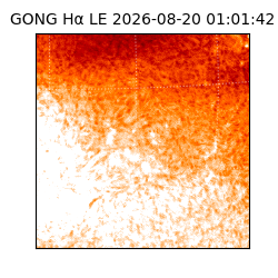 gong - 2026-08-20T01:01:42