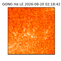 gong - 2026-08-20T02:18:42