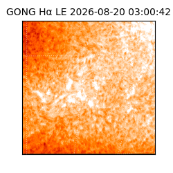 gong - 2026-08-20T03:00:42