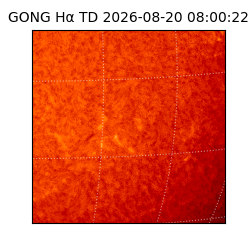 gong - 2026-08-20T08:00:22