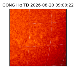 gong - 2026-08-20T09:00:22