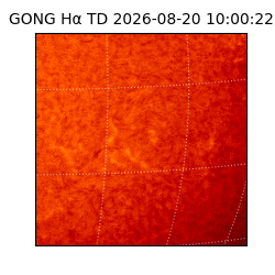 gong - 2026-08-20T10:00:22
